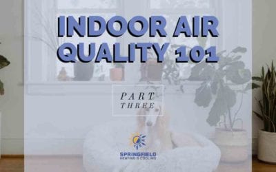 Indoor Air Quality 101 – Part 3: These Products & Services Will Improve Your Indoor Air Quality